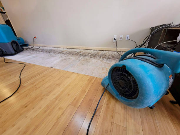 Professional Sewage Cleanup technician working in Ethel, LA